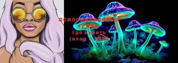 стаф Балабаново