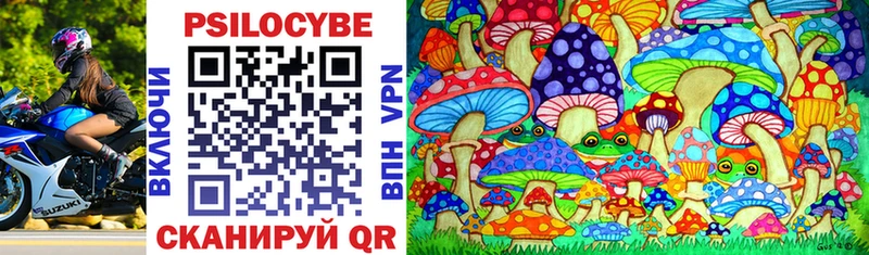 купить   Гурьевск  Псилоцибиновые грибы Magic Shrooms 